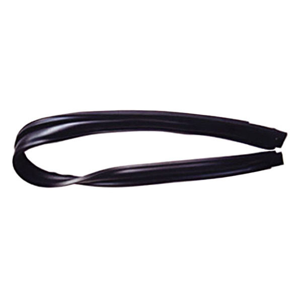 Windshield Seal